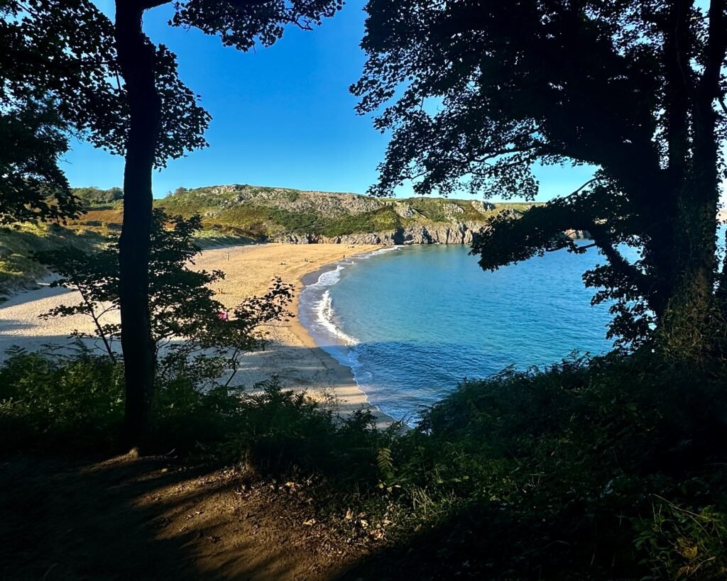 Barafundle beach through trees from the coast path, Pembrokeshire, Wales