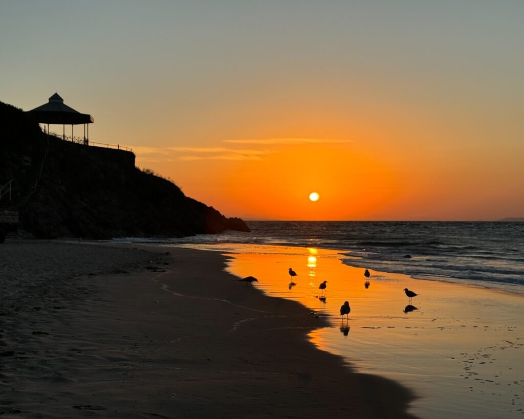 Sunrise with gulls at Castle Beach in Tenby, Pembrokeshire, Wales