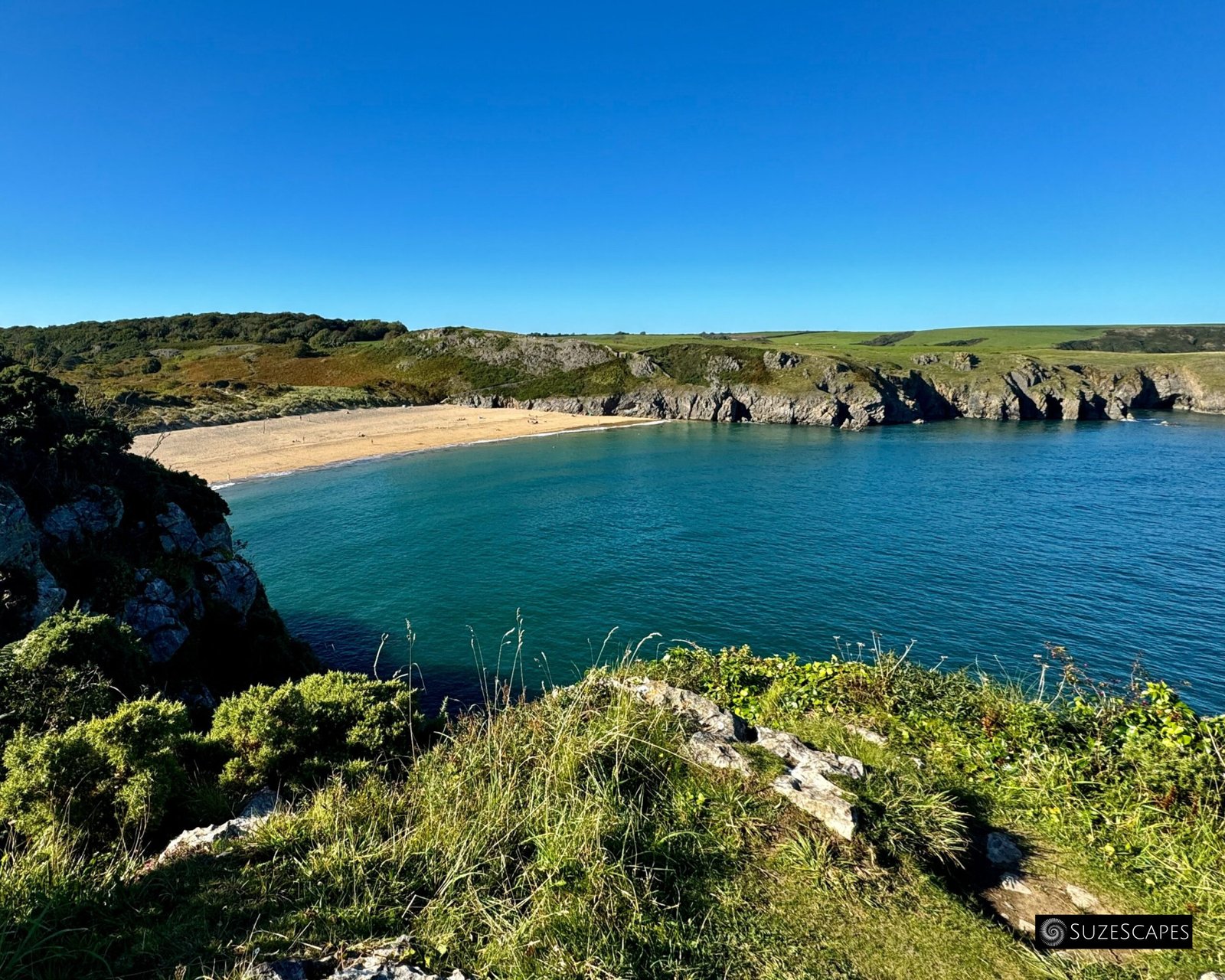 Barafundle Bay and beach from the coast path, Pembrokeshire, Wales